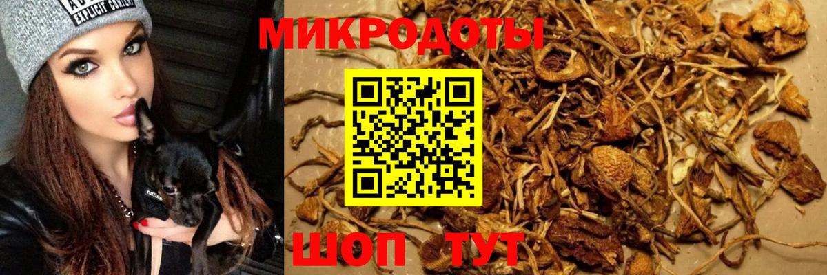 Псилоцибиновые грибы мицелий  Вход с VPN  Лесосибирск 
